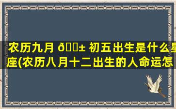 农历九月 🐱 初五出生是什么星座(农历八月十二出生的人命运怎么样)